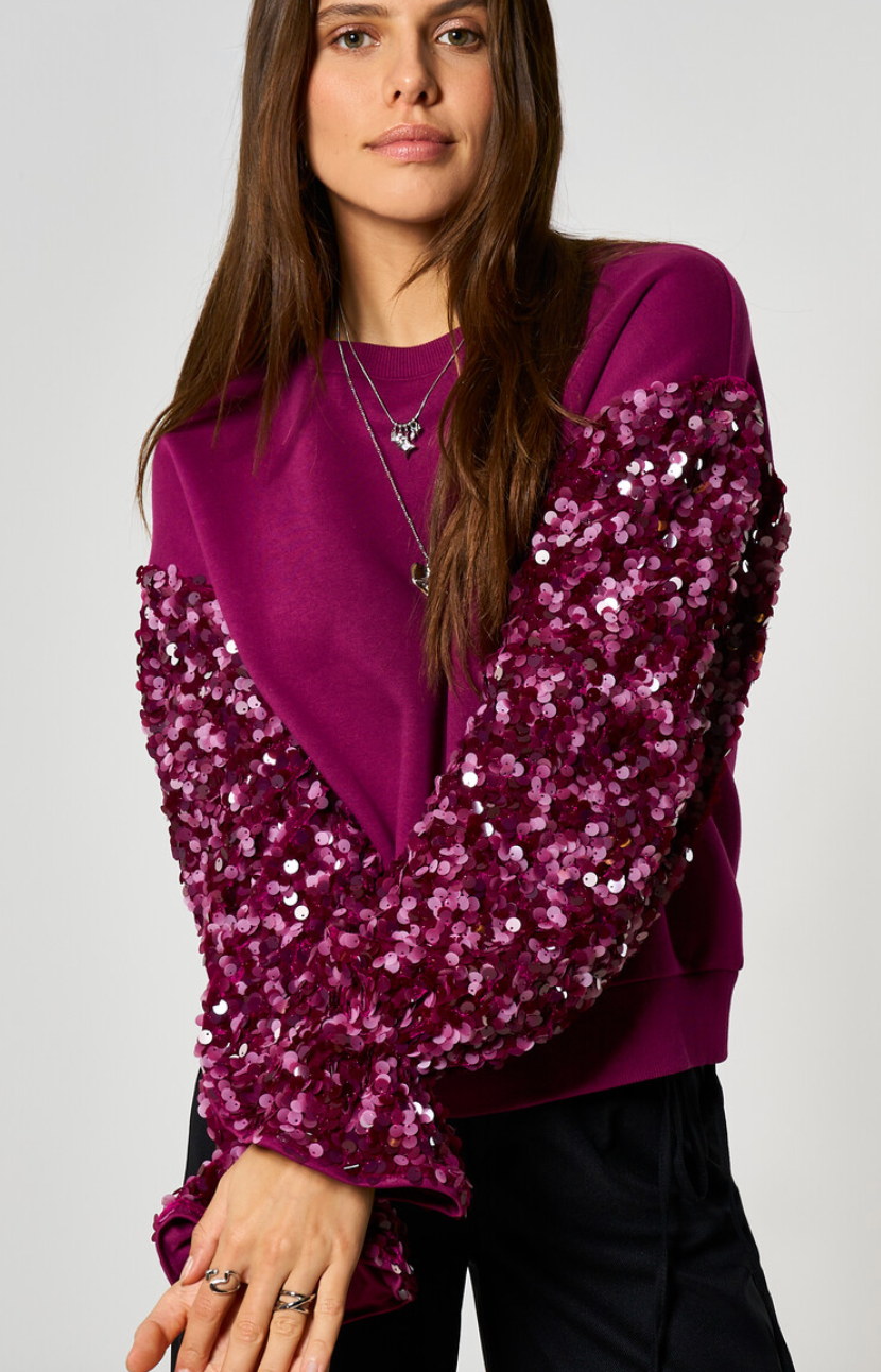 Paarse sweater met pailletten mouwen