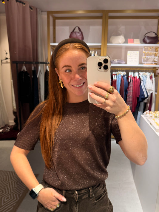 Brown glitter top