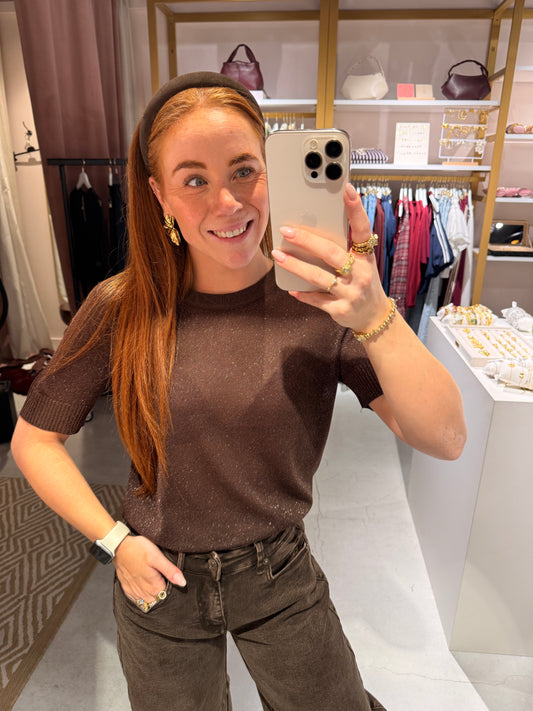 Brown glitter top