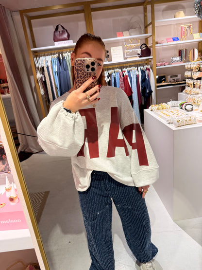 Sweater Paris grey