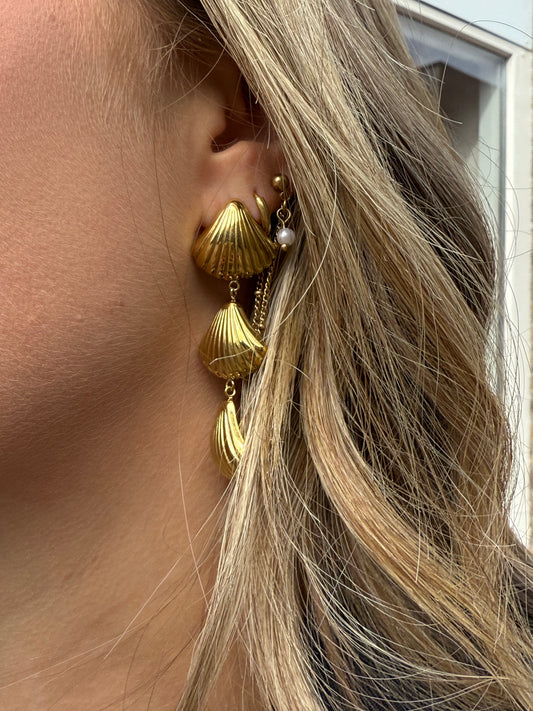 Oorbellen 3 schelpjes
