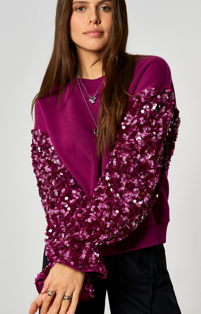 Paarse sweater met pailletten mouwen