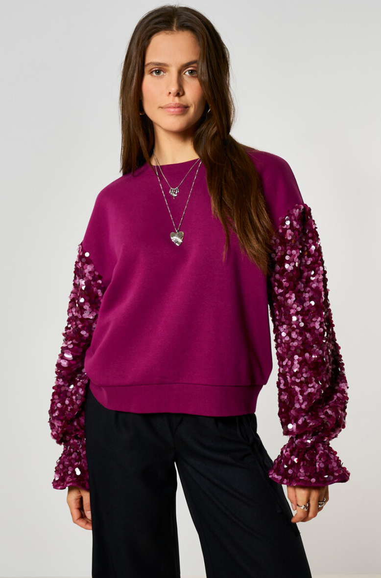 Paarse sweater met pailletten mouwen