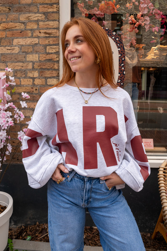 Sweater Paris grey
